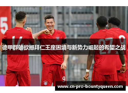 德甲群雄欲撼拜仁王座困境与新势力崛起的希望之战