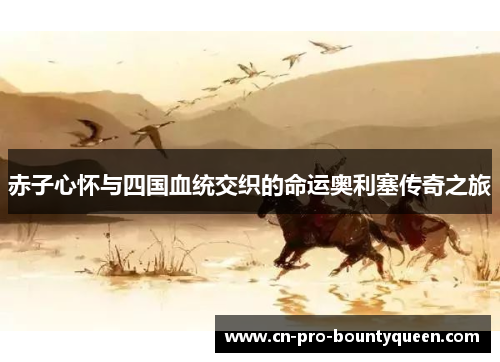 赤子心怀与四国血统交织的命运奥利塞传奇之旅 赤子心怀与四国血统交织的命运奥利塞传奇之旅