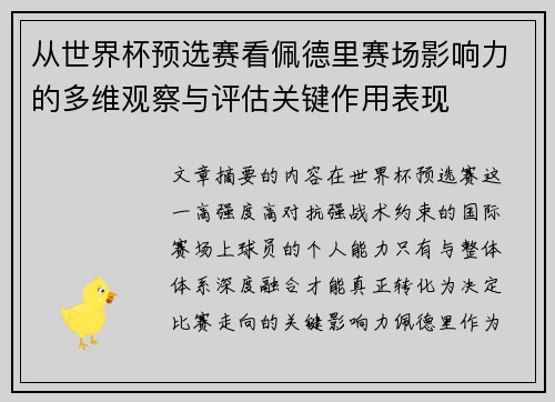 从世界杯预选赛看佩德里赛场影响力的多维观察与评估关键作用表现