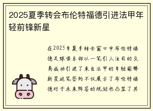 2025夏季转会布伦特福德引进法甲年轻前锋新星