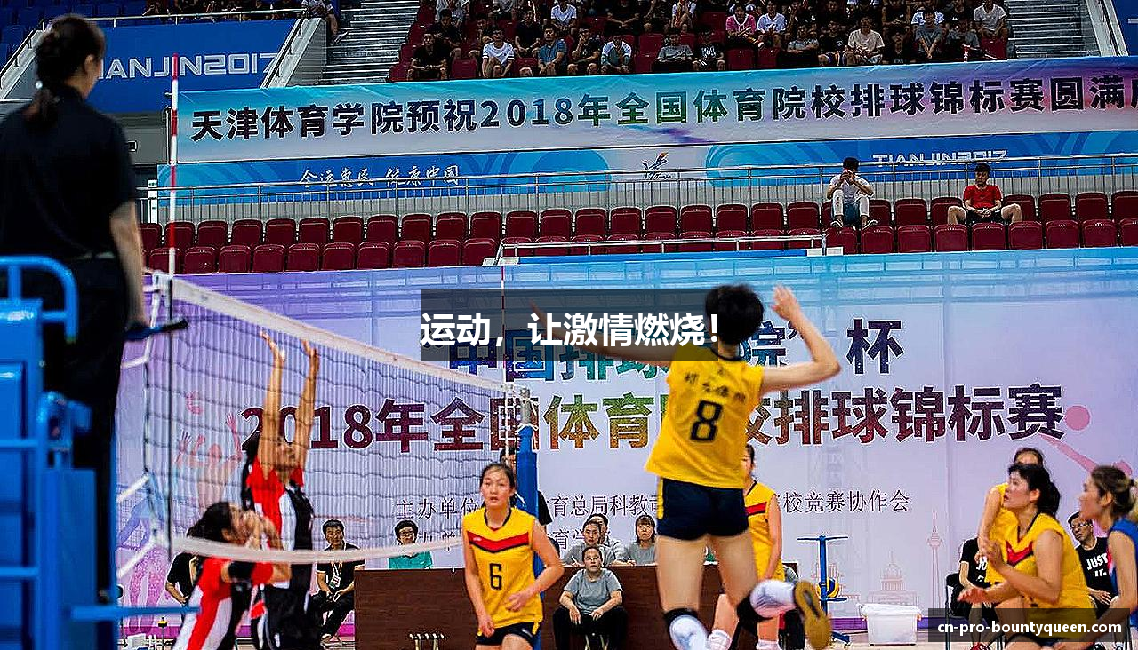  赏金女王游戏下载